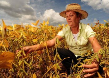 Projeto cria política estadual de valorização da mulher no campo