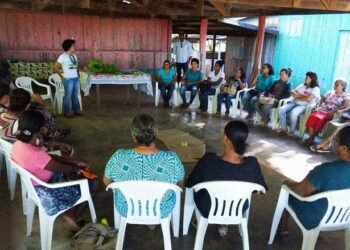 Amurverde e a articulação das mulheres rurais por autonomia em MT