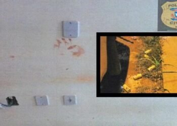 Filho tomou cerveja com mãe antes de supostamente matá-la com 23 facadas em VG, diz polícia