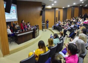 Premiação homenageia mulheres que contribuem para a defesa feminina no Estado