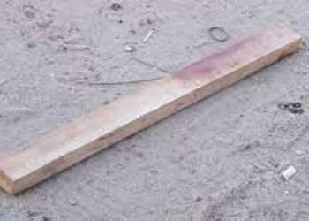 Homem que tentou matar companheira a pauladas é preso