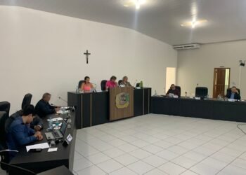 Câmara aprova projeto que cria programa de incentivo ao empreendedorismo da mulher luverdense