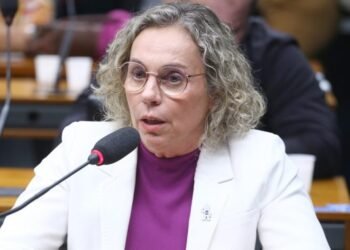 Participantes de debate defendem mais informação e investimento no parto domiciliar