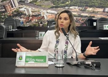 ‘É mais prejudicial à imagem de quem muda de voto’, diz Michelly sobre honraria a Cattani