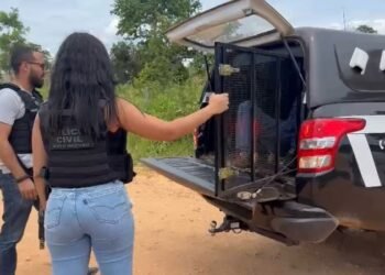 Homem é preso preventivamente pela Polícia Civil após tentar matar ex-mulher na noite de Natal