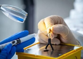 Pesquisadores desenvolvem esponja intravaginal para tratar candidíase