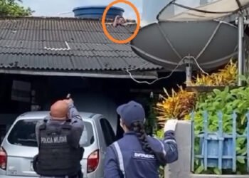 Suspeito ameaça ex-mulher com faca e quebra telhado para fugir da PM; veja vídeos