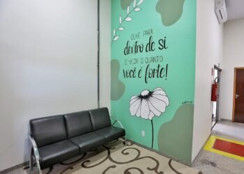 Polícia Civil capacita policiais para atendimento virtual e rede de proteção a vítimas de violência doméstica em Sorriso