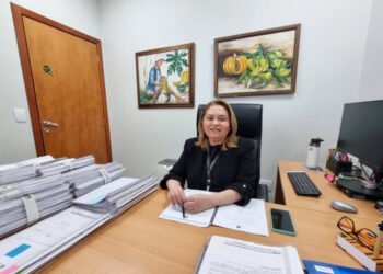 Primeira mulher na consultoria da CCJ na AL busca superar 860 pareceres em ano eleitoral