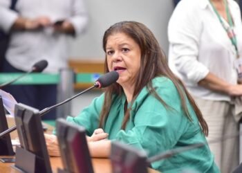 Projeto oficializa participação de organizações da sociedade civil no combate à violência contra a mulher