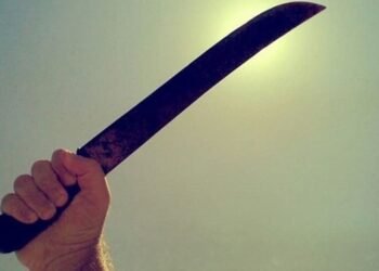 Violência em Jardim dos Estados: Tentativa de Feminicídio Choca a Comunidade