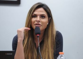 Comissão debate combate à pedofilia na internet