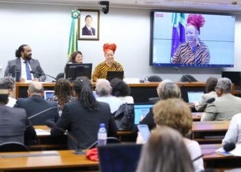 Movimentos sociais pedem atenção à situação de mulheres, negros e indígenas  Fonte: Agência Câmara de Notícias