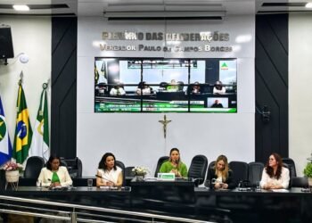 Michelly Alencar promove audiência pública para discutir protocolo “Não é Não” em restaurantes