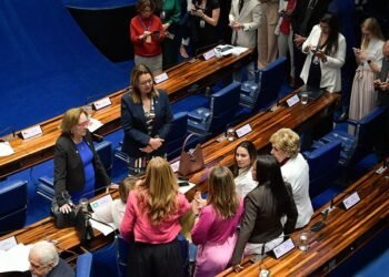 Bancada Feminina cobra punição por ameaças à Maria da Penha na internet