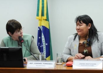 Presidente da Funai defende orçamento maior para fundação de apoio a povos indígenas