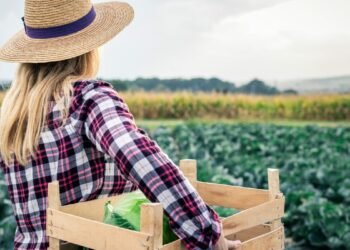 Lançamento do projeto Maria Terra reunirá mais de 100 mulheres líderes da Agricultura Familiar de MT