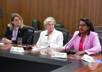 Senadora lidera discussão sobre medidas para o combate à violência contra a mulher