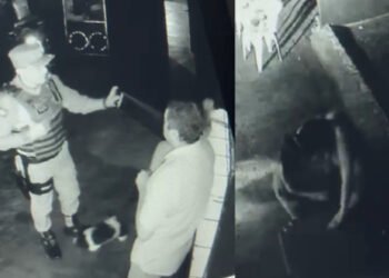 PMs que jogaram spray de pimenta em prostitutas são afastados