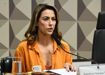 Enfrentamento à violência contra a mulher pode ter prioridade no Senado