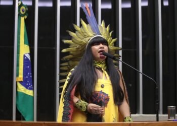 Câmara aprova regras para atendimento de mulheres indígenas vítimas de violência doméstica