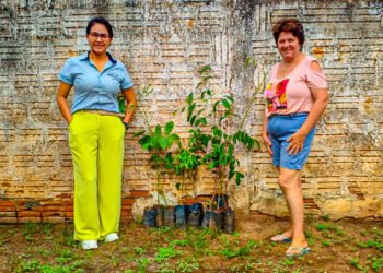 Instituto Cometa doa mudas para fortalecer ações de sustentabilidade