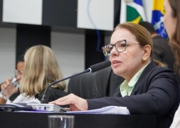 Paula Calil debate empreendedorismo feminino e combate à informalidade em audiência pública