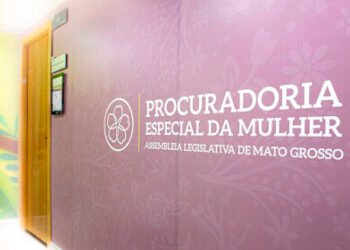 Procuradoria Especial atua no enfrentamento à violência e à discriminação contra a mulher