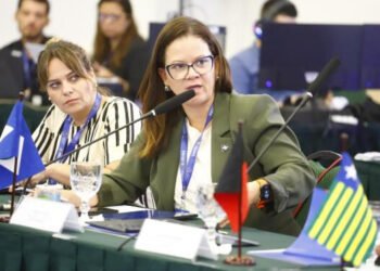 Secretária de MT faz parte do grupo que vai revisar a Lei de Publicidade