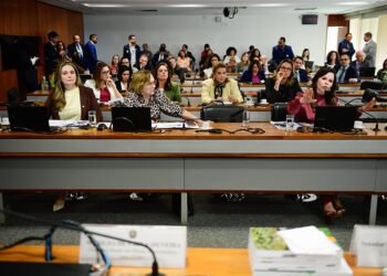 CCJ: senadoras não abrem mão de percentual de candidaturas femininas