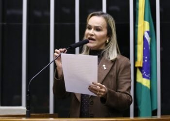 Projeto permite usar dinheiro do fundo de segurança para criar órgão para enfrentar violência contra a mulher