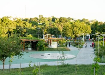 Parque da Família receberá ipês em memória das vítimas de feminicídio