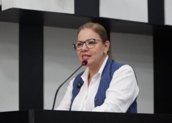 Paula Calil debate implantação de protocolo de acolhimento a crianças vítimas ou testemunhas de violência em audiência pública