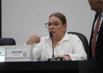 Paula Calil apresenta projeto de combate à violência contra a mulher no comércio de Cuiabá