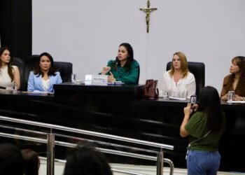 Ensino da Lei Maria da Penha nas escolas é defendido pelo MPMT