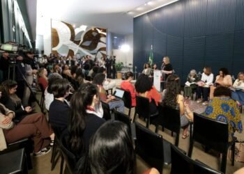 Estudos trazem novos dados sobre violência de gênero na política