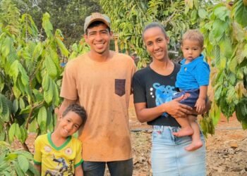 Com apoio da Seaf e REM, sítio em Aripuanã cultiva mais de mil pés de cacau em apenas um hectare