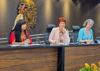 Parlamentares mulheres defendem integração entre gênero e clima em debate na COP30