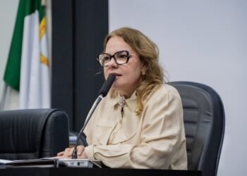 Paula Calil afirma que Comissão Especial vai apurar denúncia de assédio contra ex-secretário e garantir respostas à população