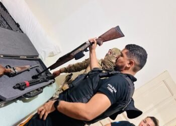 Polícia Civil apreende 50 armas de fogo e mais de 8,8 mil munições em investigação de violência doméstica