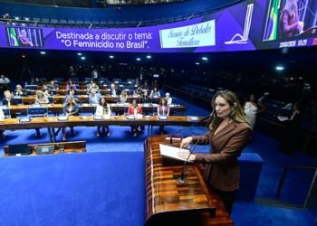 Ação do Estado pode reduzir feminicídios, afirmam debatedores no Senado