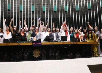 Câmara aprova projeto que regulamenta a profissão de doula