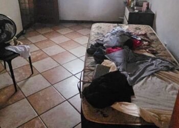 Lei amplia proteção a doméstica resgatada de trabalho análogo à escravidão