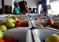 Lei prioriza distribuição de alimentos para rede de acolhimento a mulheres vítimas de violência