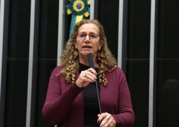 Câmara aprova criação do Sistema Nacional de Enfrentamento da Violência contra Meninas e Mulheres