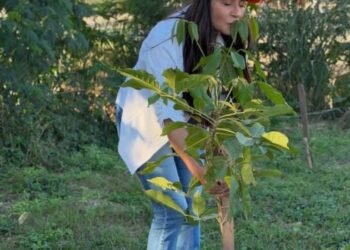 Dra. Mara amplia ações de arborização em Cuiabá com projeto Rede Verde
