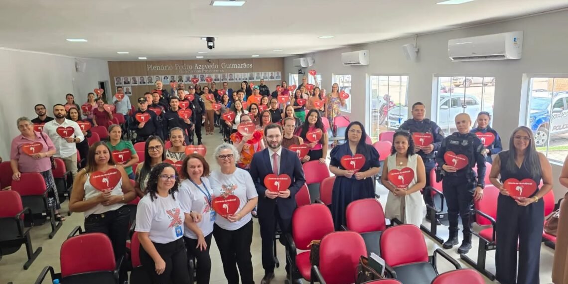 Cemulher capacita membros de rede de enfrentamento à violência doméstica de Porto Alegre do Norte
