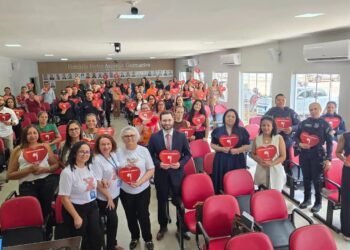 Cemulher capacita membros de rede de enfrentamento à violência doméstica de Porto Alegre do Norte